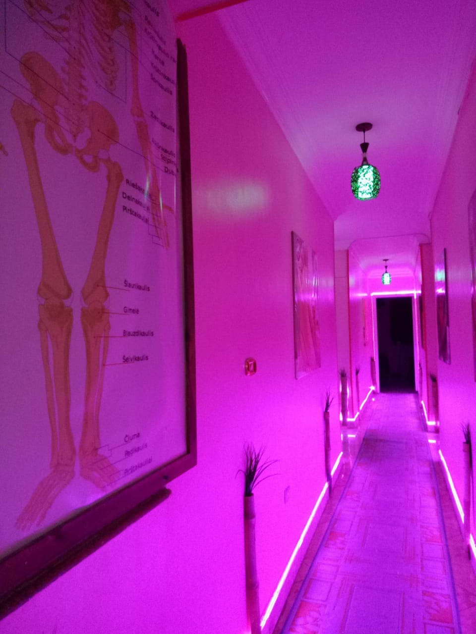 مساج و سبا النصر اكاديمى